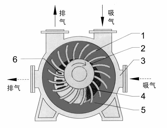 2BE1水环式九游（中国）结构图